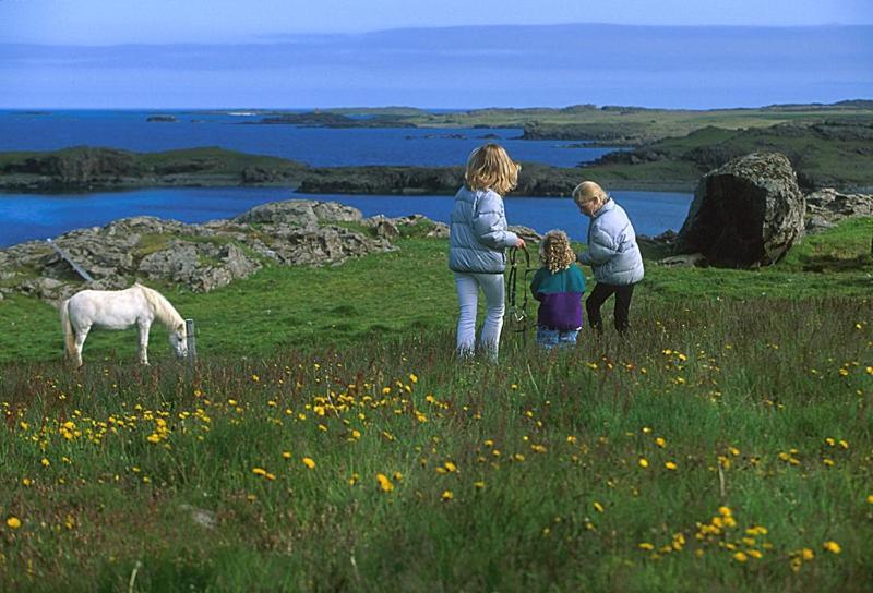 Icelandair Hotel Hamar Borgarnes Extérieur photo